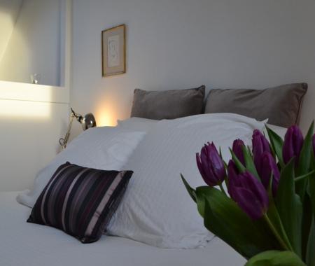 Location de particuliers � particuliers L�onardo:Amboise centre duplex style loft G�te Indre et Loire