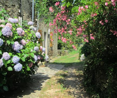 Location de particuliers � particuliers G�te au calme en C�vennes 73 m2 pour 4 � 6 personnes G�te Gard