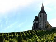 Location de particuliers � particuliers G�te de charme Au centre de l'Alsace Chambres d'hotes Haut Rhin photo 6
