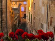 Location de particuliers � particuliers 