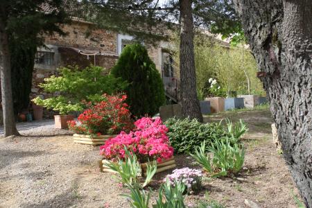 Location de particuliers � particuliers Sainte Marie des Ollieux Au coeur du vignoble Chambres d'hotes Aude