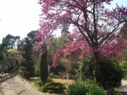 Location de particuliers � particuliers Sainte Marie des Ollieux Au coeur du vignoble Chambres d'hotes Aude photo 8