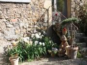 Location de particuliers � particuliers Sainte Marie des Ollieux Au coeur du vignoble Chambres d'hotes Aude photo 9