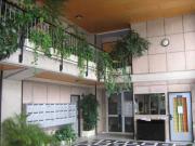 Location de particuliers � particuliers Appartement � 2 min de la plage Location saisonni�re Seine Maritime photo 2