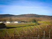 Location de particuliers � particuliers Gite aux 3 pierres dans le haut d �guisheim G�te Haut Rhin photo 6