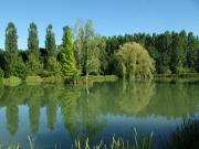 Location de particuliers � particuliers Le Domaine de l'Etang de Sandanet Chambres d'hotes Dordogne photo 2