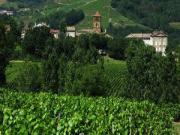 Location de particuliers � particuliers Une belle halte en plein coeur des vignes du beaujolais Chambres d'hotes Rh�ne photo 13