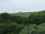 Location de particuliers � particuliers Domaine de Roche-Guillon, exploitation viticole Chambres d'hotes Rh�ne photo 6