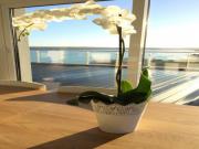 Location de particuliers � particuliers Chambre avec vue imprenable sur la mer.  Chambres d'hotes Finist�re photo 9