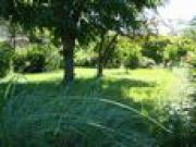 Location de particuliers � particuliers Amateurs de nature, randonn�es, ch�teaux Cathares c'est pour vous! Location saisonni�re Aude photo 3