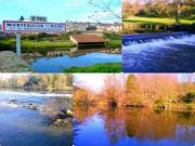 Location de particuliers � particuliers LE MOULIN SUR LA MOINE, A deux pas de sites m�di�vaux et parc du PUY du FOU Chambres d'hotes Yonne photo 5