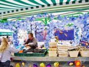 Location de particuliers � particuliers Chambre d'h�te Mer  entre Courseulles sur mer et Ouistr�ham Chambres d'hotes Calvados photo 7