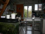 Location de particuliers � particuliers CHAMBRE CHALEUREUSE DANS MAISON A TOULOUSE Chambres chez l'habitant Haute garonne photo 10