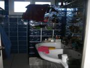 Location de particuliers � particuliers CHAMBRE CHALEUREUSE DANS MAISON A TOULOUSE Chambres chez l'habitant Haute garonne photo 11