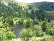 Location de particuliers � particuliers Alsace, chalet de montagne,individuel,proche de G�rardmer Chalet Haut Rhin photo 14