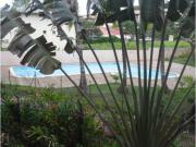 Location de particuliers � particuliers Joli F2 avec piscine, Proximit� Centre Ville Location saisonni�re Guyane photo 2