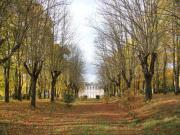 Location de particuliers � particuliers Vie de Ch�teau au c�ur du Loir-et-Cher,vue exceptionnelle Chambres d'hotes Loir et Cher photo 8