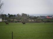 Location de particuliers � particuliers Location