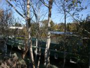 Location de particuliers � particuliers Le Saint Louis   p�niche en Arles, zone d�Arles/Camargue Chambres d'hotes Bouches du rh�ne photo 2