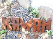 Location de particuliers � particuliers 2 VILLAS DUPLEX Location saisonni�re Martinique photo 9