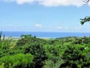 Location de particuliers � particuliers Bungalow T2 piscine et vue sur oc�an indien Location saisonni�re R�union photo 4
