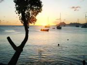 Location de particuliers � particuliers Studio Ste Anne 3 pers clim belle vue sur Caraibes G�te Martinique photo 9