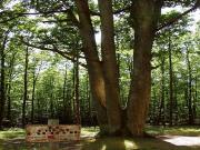 Location de particuliers � particuliers G�te du Ch�teau Au coeur du Parc Naturel du Perche G�te Eure et Loir photo 9