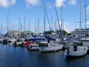 Location de particuliers � particuliers Le Colibri T2 Duplex proche mer et toutes commodit�s Location saisonni�re Guadeloupe photo 8