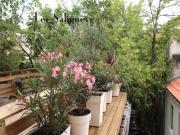 Location de particuliers � particuliers Les Saligues****, appartement de charme au centre de Dax G�te Landes photo 6