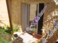 Location de particuliers � particuliers Mas Poup�ras en Provence avec vue panoramique sur le Mont Ventoux G�te Vaucluse photo 2