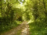 Location de particuliers � particuliers Bretagne,grande maison avec chemin�e. G�te Finist�re photo 3