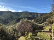 Location de particuliers � particuliers  APPARTEMENT pleine nature 4km vue sur mer Chambres d'hotes Haute Corse photo 10