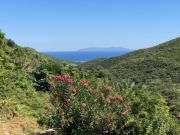 Location de particuliers � particuliers  APPARTEMENT pleine nature 4km vue sur mer Chambres d'hotes Haute Corse photo 7