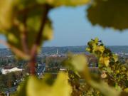 Location de particuliers � particuliers Chambre d'H�tes � Monbazillac avec vue panoramique Chambres d'hotes Dordogne photo 7