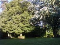 Location de particuliers � particuliers Location de vacances : Maison � Saint Paul les Dax Location saisonni�re Landes photo 3
