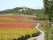 Location de particuliers � particuliers G�te CHARDONNAY studio 2 personnes G�te H�rault photo 10