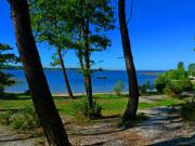 Location de particuliers � particuliers LOCATION DE MOBILHOME LUXE DANS LES LANDES A 150M DES PLAGES DU LAC - CAMPING 4**** ESPACE AQUATIQUE - OCEAN et ARCACHON TOUT PROCHE Camping / Mobile-home Landes photo 6