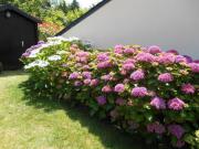 Location de particuliers � particuliers AR TY MAD CHAMBRE D'HOTES Chambres chez l'habitant C�tes d'Armor photo 11