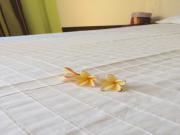Location de particuliers � particuliers Caz Margouillat- La R�union - Etang Sal� Location saisonni�re R�union photo 4