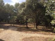 Location de particuliers � particuliers Chambre d'H�tes Provence 2 pers piscine, tennis, p�tanque- Le Domaine d'Al�zen Chambres d'hotes Bouches du rh�ne photo 9