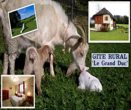 Location de particuliers � particuliers G�te Le Grand Duc G�te Is�re