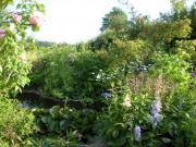 Location de particuliers � particuliers 