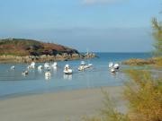 Location de particuliers � particuliers Maison de bord de mer et campagne G�te Finist�re photo 5