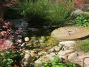 Location de particuliers � particuliers 'L'ALCOVE DES P'TITS COEURS