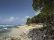 Location de particuliers � particuliers Le Grand Palm Chambres et tables d' h�te de charme, piscine et spa, proche mer Chambres d'hotes Guadeloupe photo 11