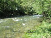 Location de particuliers � particuliers Chambres d'h�tes La Pommeraie entre le Plateau de BEILLE et le PIC du MONTCALM Chambres d'hotes Ari�ge photo 8