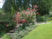 Location de particuliers � particuliers Les chambres & cottages de Muguette ambiance d�tente, c�t� campagne Chambres d'hotes Marne photo 12