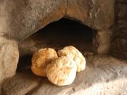 Location de particuliers � particuliers LA FERME BERGER Chambres d'hotes Rh�ne photo 13