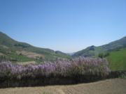 Location de particuliers � particuliers LA FERME BERGER Chambres d'hotes Rh�ne photo 3