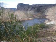 Location de particuliers � particuliers Gite du Bord de seuge, sortie des gorges de l'Allier G�te Haute loire photo 8